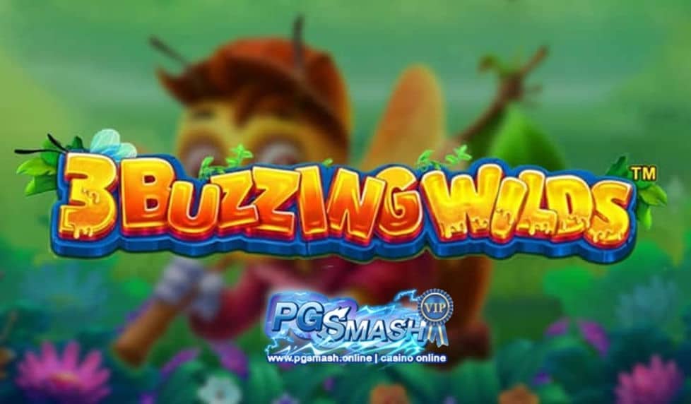 เกมสล็อตpgเว็บตรง 3 Buzzing Wilds Bomb